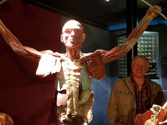 Body Worlds Museum
